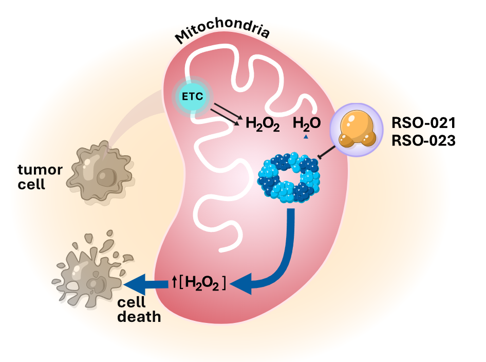 RSO-021 inhibits PRX3, increasing oxidative stress and driving tumor cell death